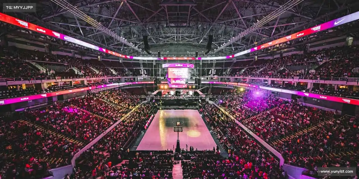 行业领先的理由